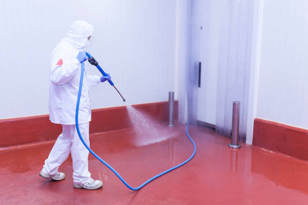 Best Parking Lot and Garage Cleaning  in Hayti, MO